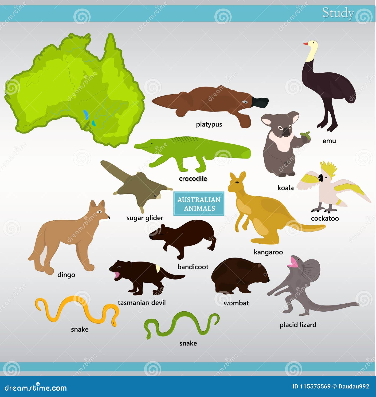 Set of Australian with Names Stock Vector - Illustration of lizard, crocodile: 115575569