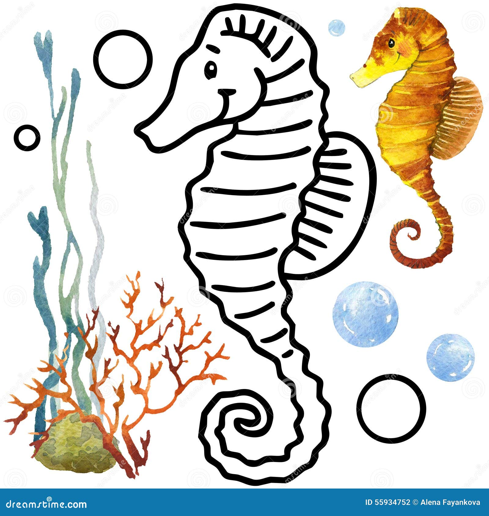 Fauna della barriera corallina del libro da colorare Illustrazione del pesce del fumetto per spettacolo del
