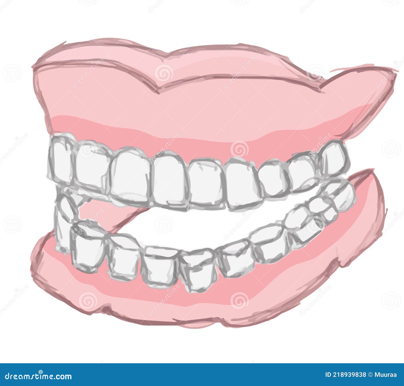 Fausses dents humaines illustration de vecteur. Illustration du  illustration - 218939838