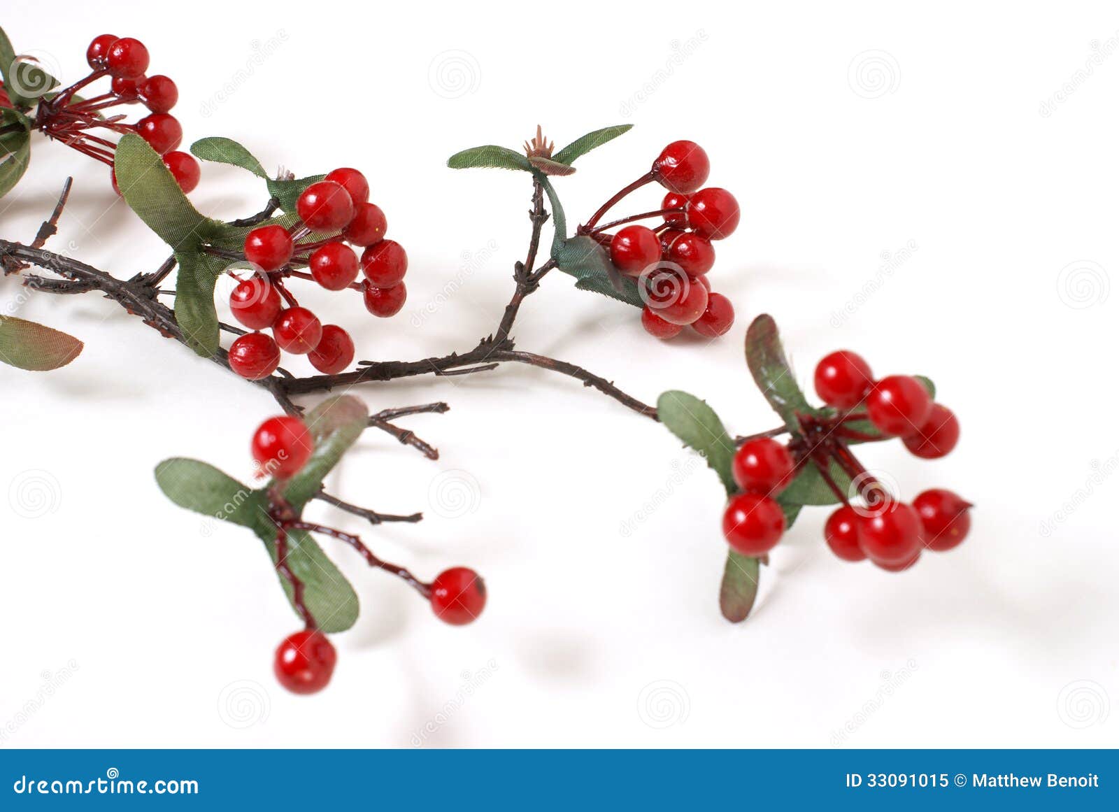 Faux Berry Branch Royalty Free Stock Photo - Image: 33091015