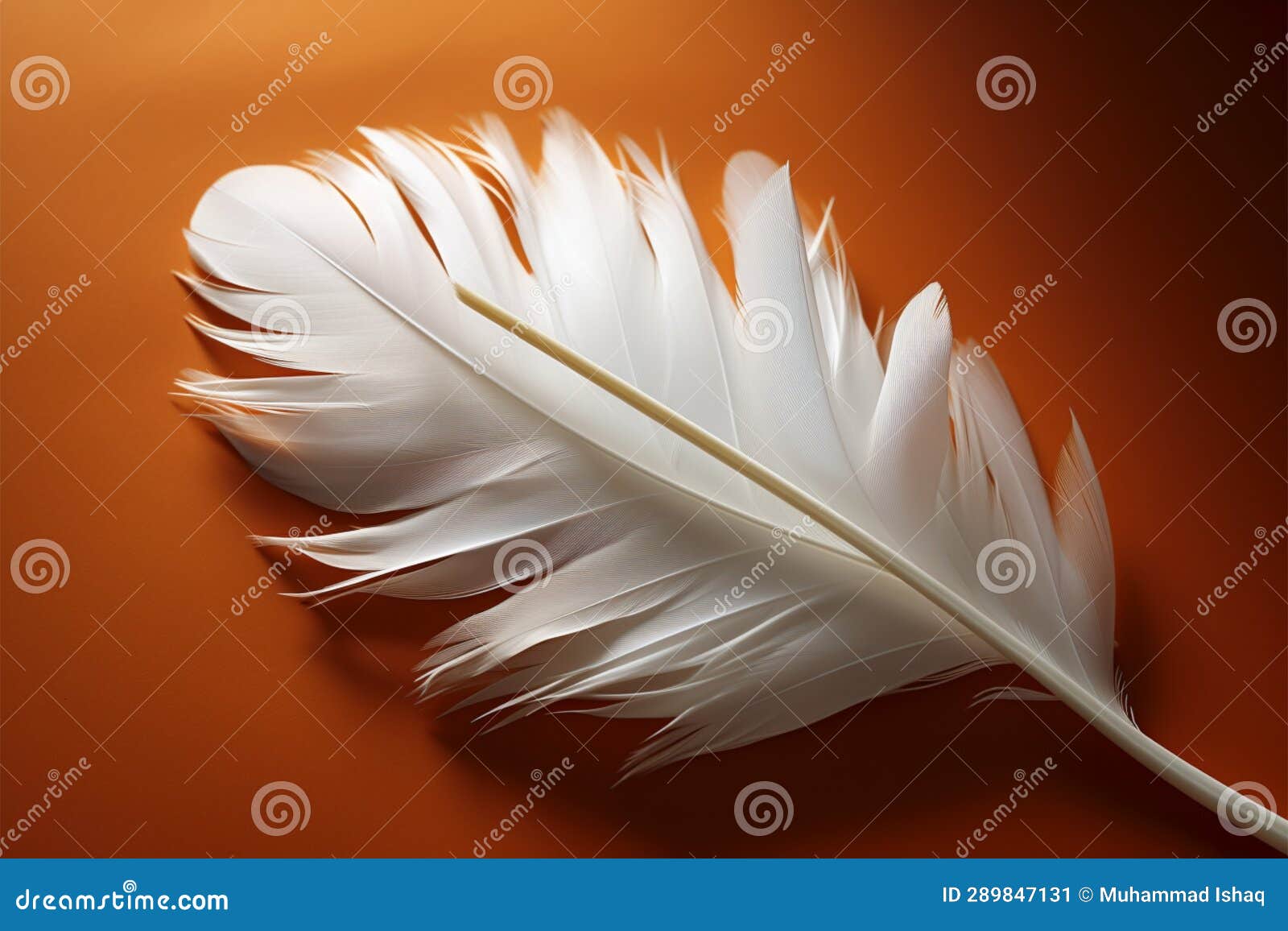 Feather Accents a Paper, Merging Nature and Written Expression Stock