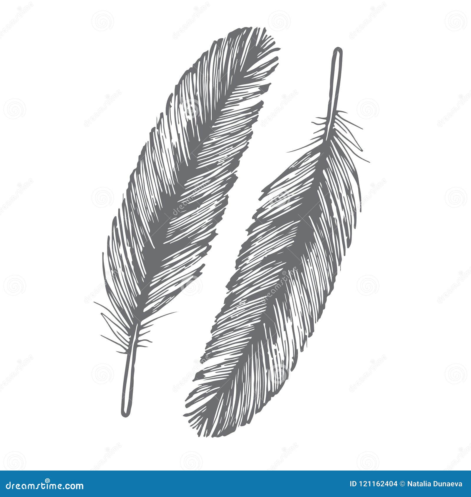 Chalk Drawing Feather Stock Illustrations – 1,521 Chalk Drawing Feather  Stock Illustrations, Vectors & Clipart - Dreamstime