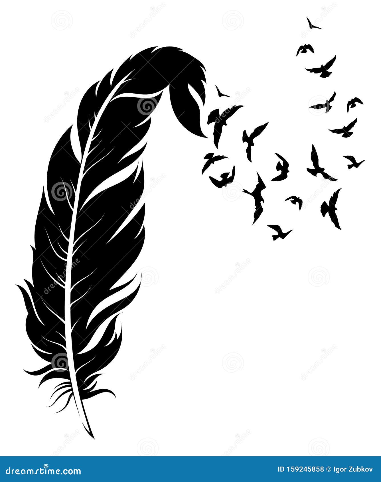 Download Feather And Birds. Black And White Vector Illustration Of ...