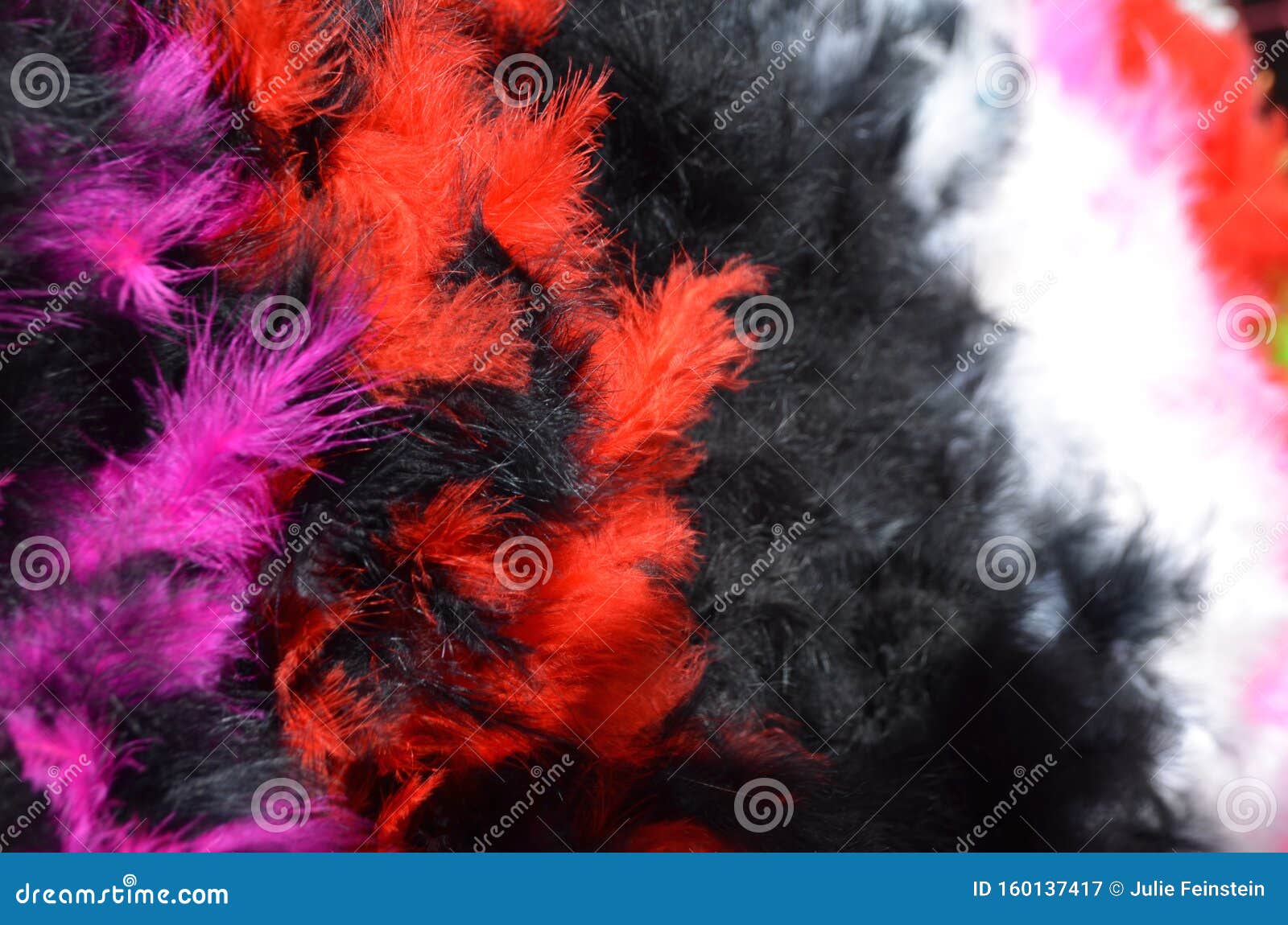 370 Bright Pink Feather Boa Stock Photos - Free & Royalty-Free Stock Photos  from Dreamstime