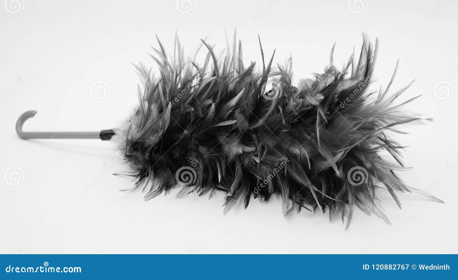 Feather Broom Isolated on White Color Background Stock Image Image of