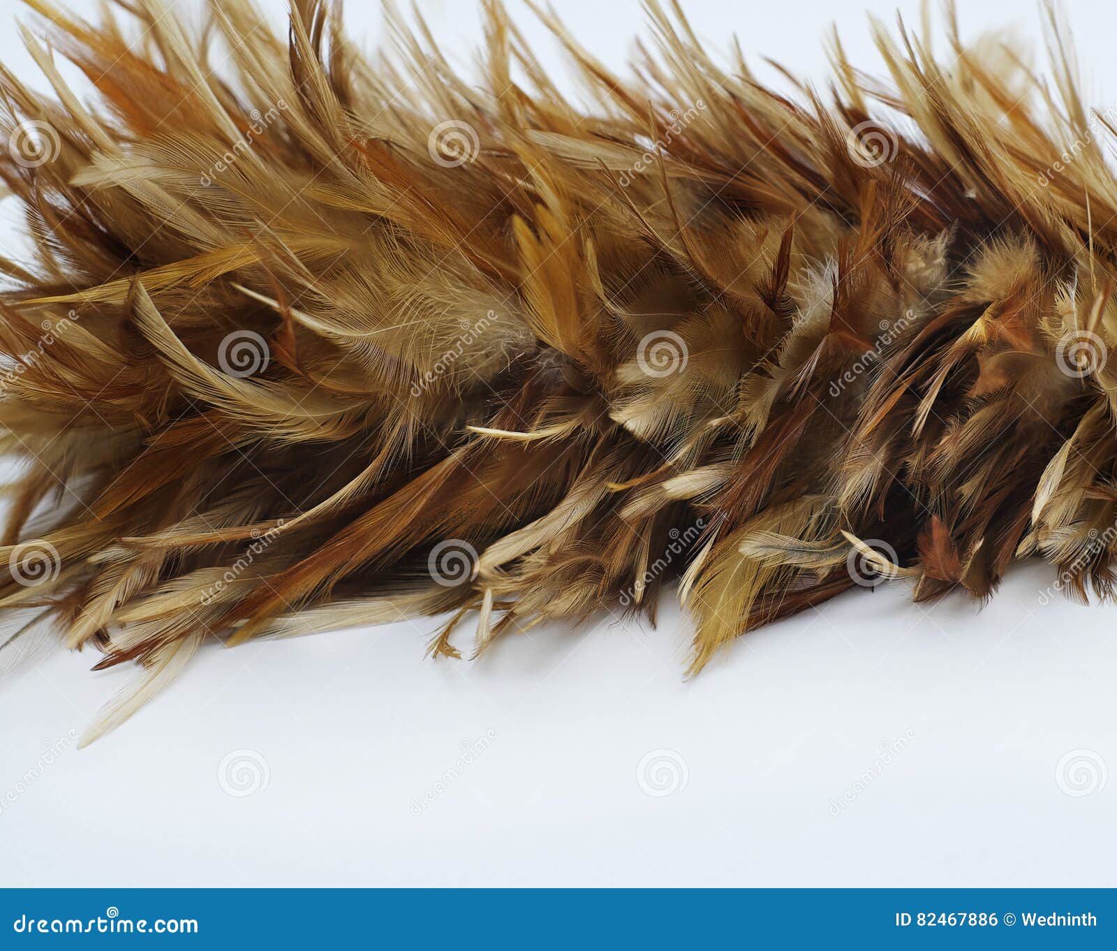 Feather Broom Isolated on White Colour Background Stock Photo Image