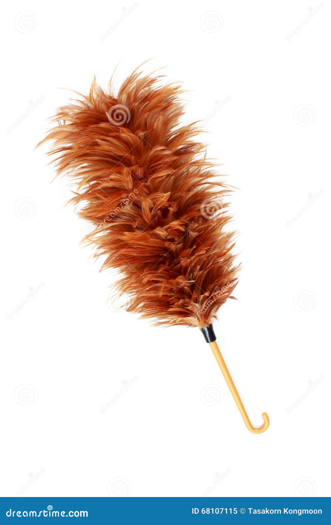 Feather Broom Stick Isolated on White Stock Image Image of feather