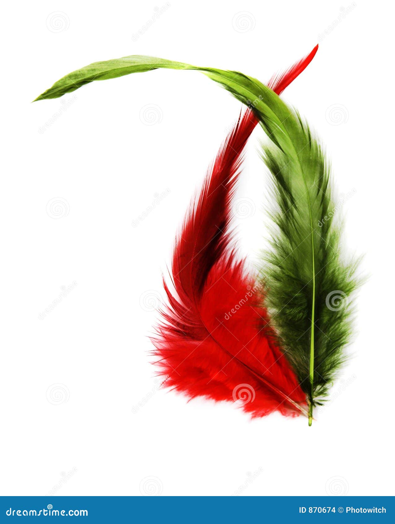 Feather dance stock photo. Image of flock, duster, flight 870674