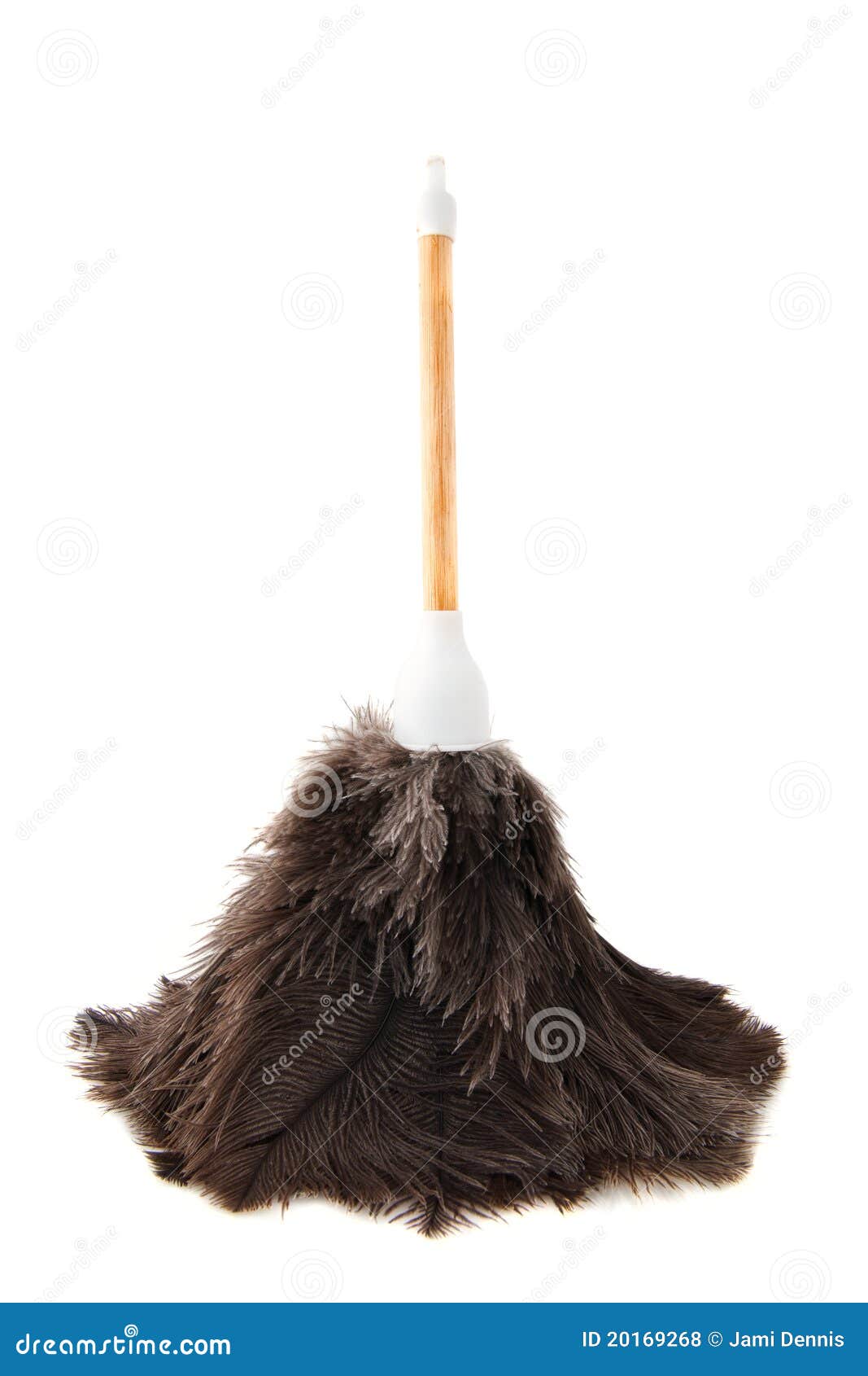 Feather Duster Isolated Stock Photo - Download Image Now - Duster