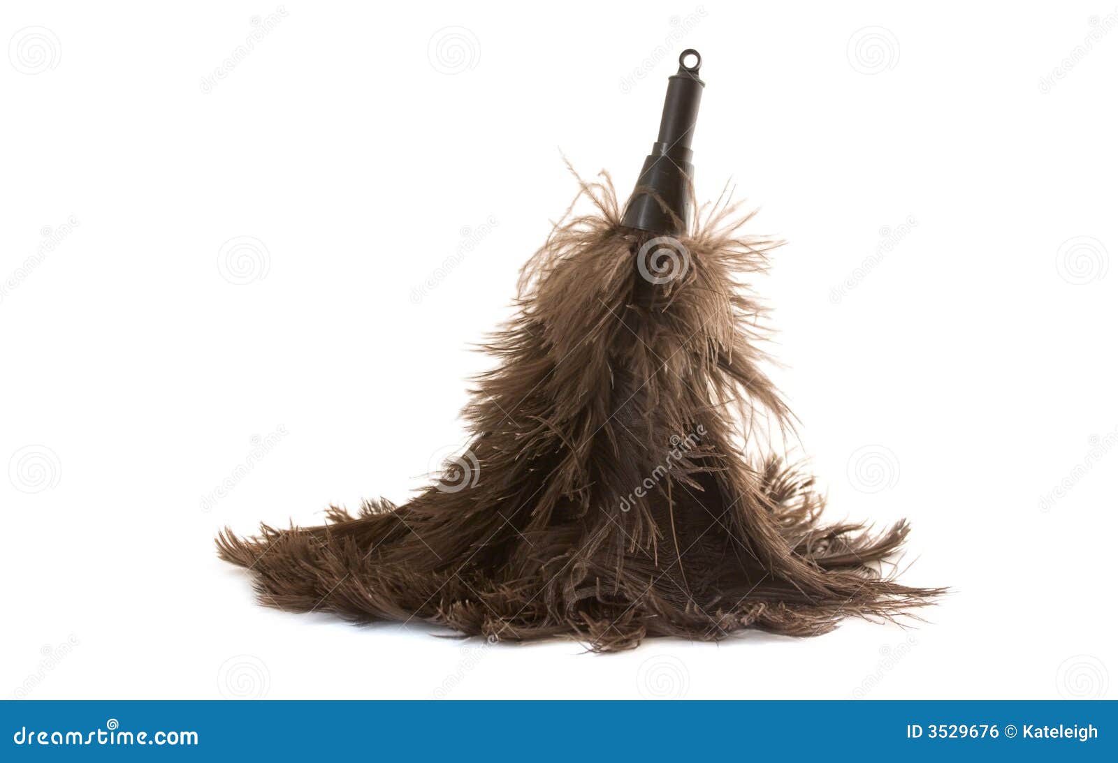Feather Duster on White stock photo. Image of white, duster - 3529676