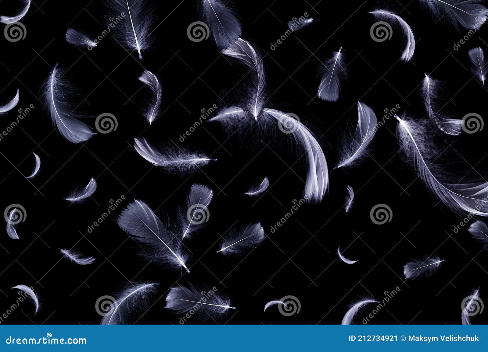 Feather Fly. Nature Abstract Bird Feather Texture Closeup Falling on