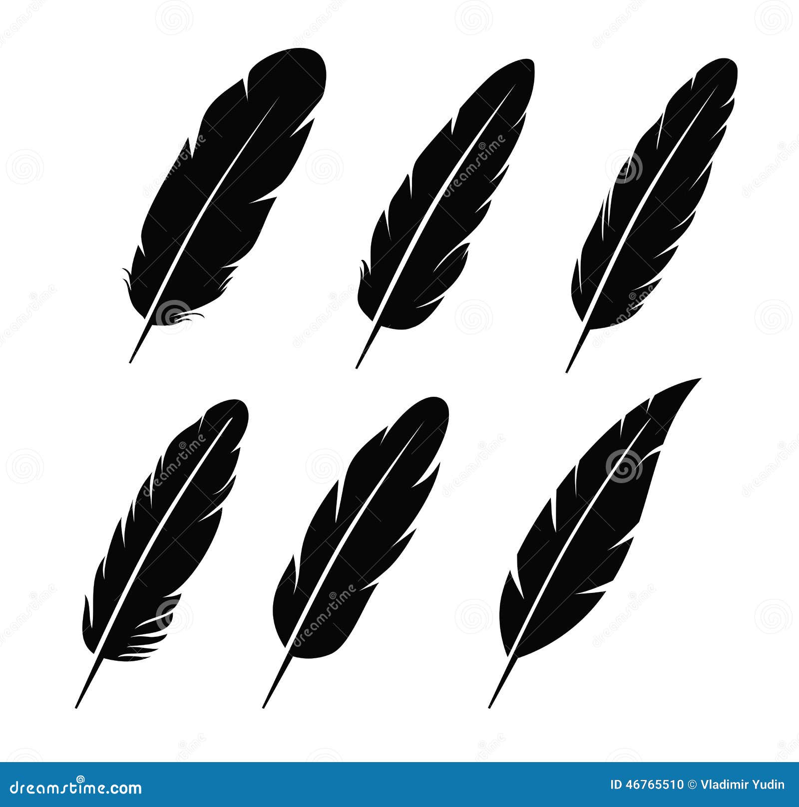 feather icon