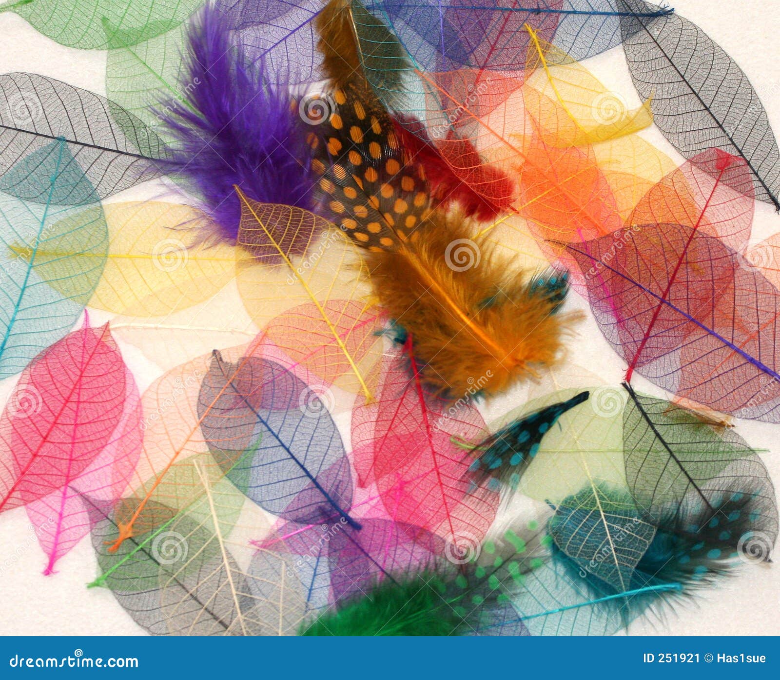 Feather light leaves stock image. Image of shape, yellow 251921