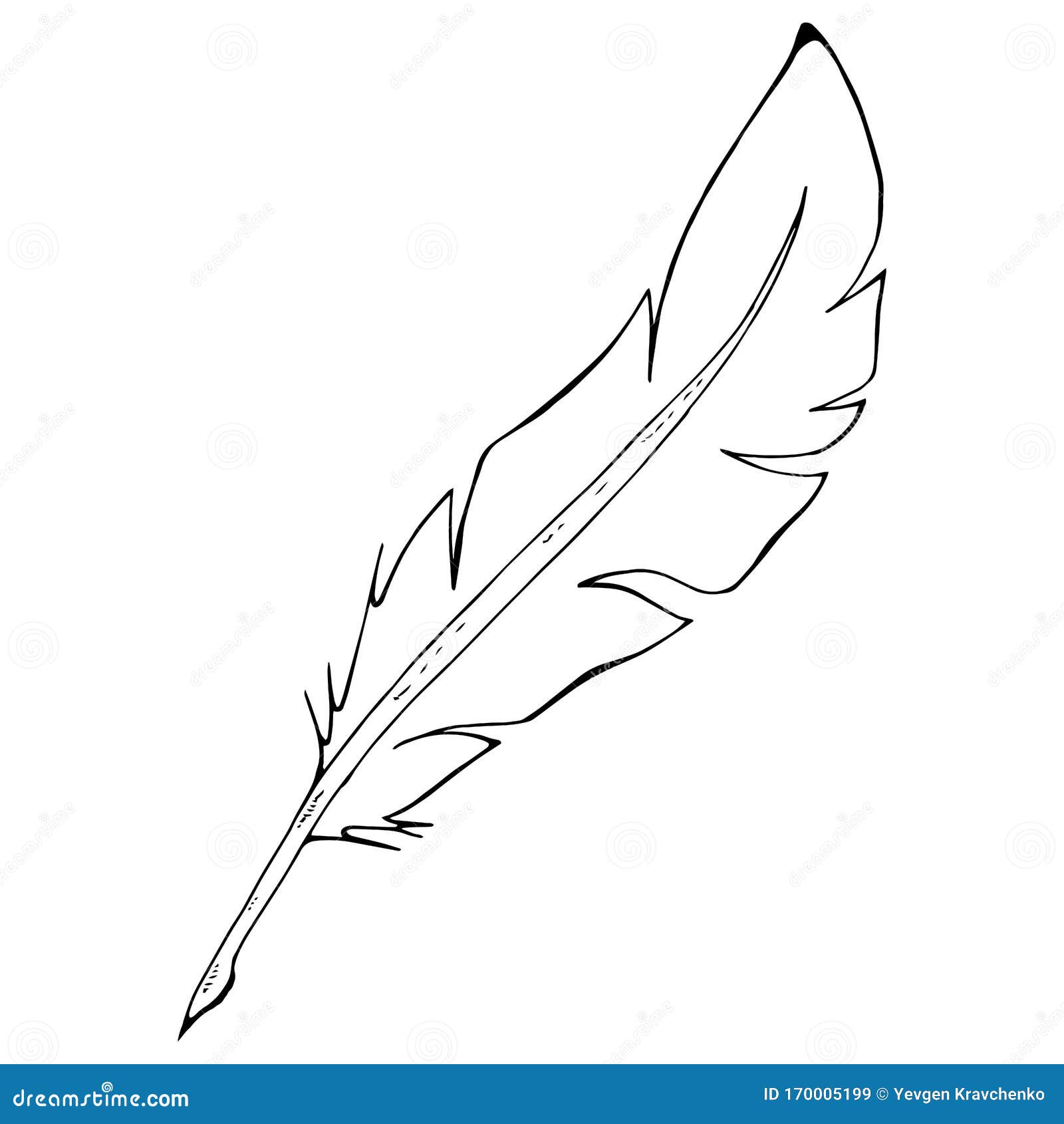 Feather Pen Icon. Vector Illustration of a Feather for Calligraphy