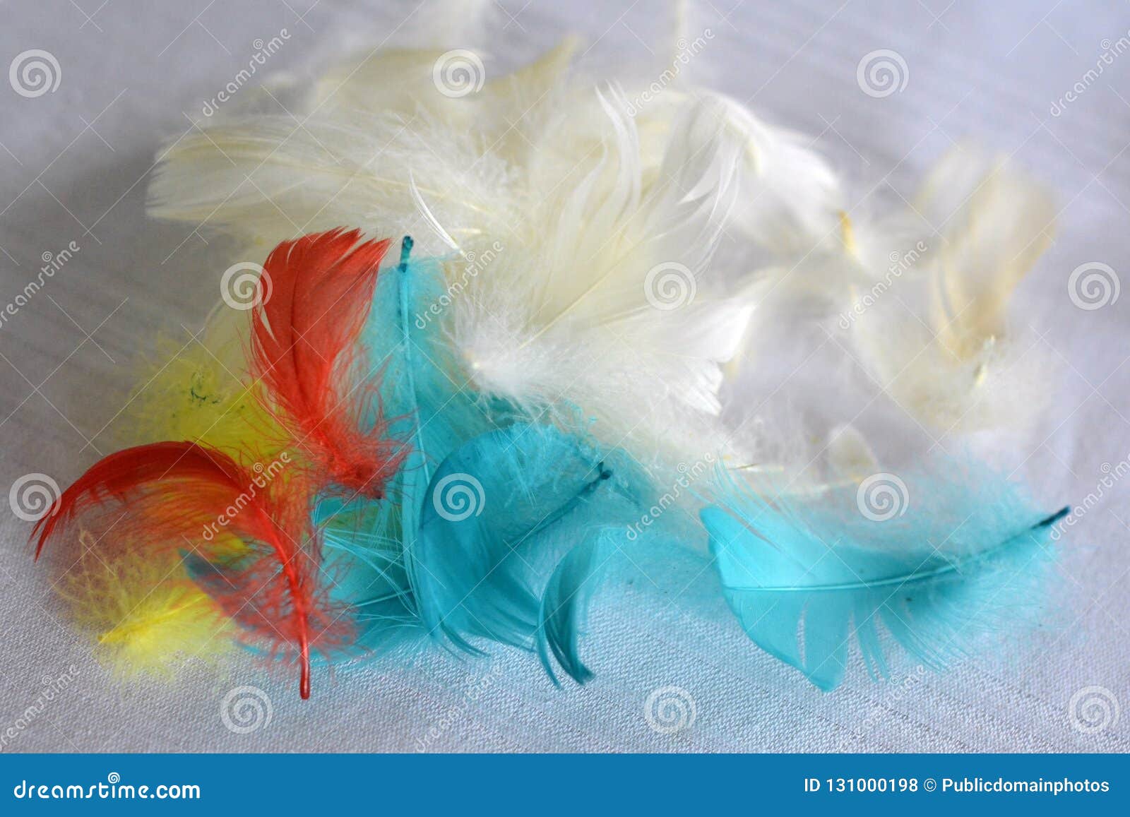 Feather, Petal, Material Picture. Image 131000198