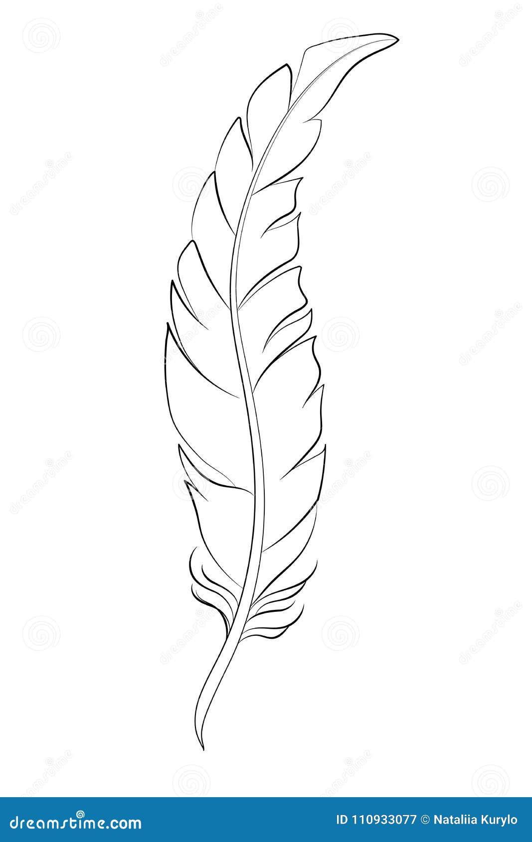 Feather Sketch for Coloring Stock Vector - Illustration of decorative ...