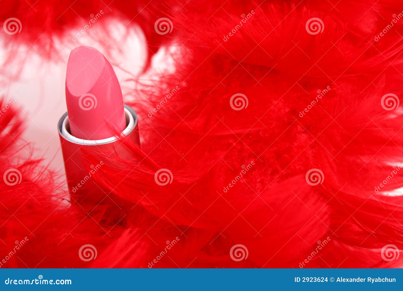 Feathers and lipstick stock photo. Image of luxury, colors 2923624