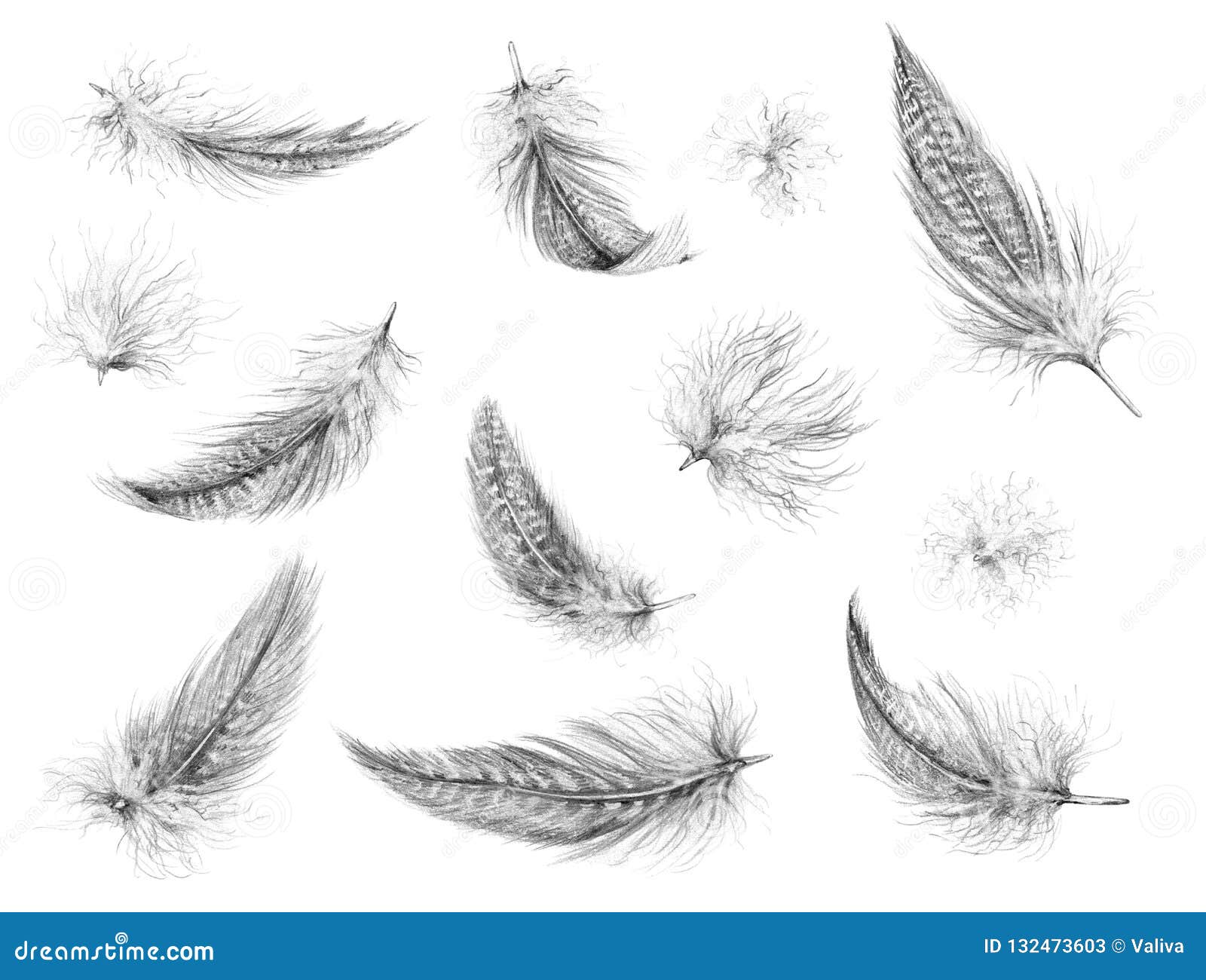 Feather Drawing Images  Free Download on Freepik