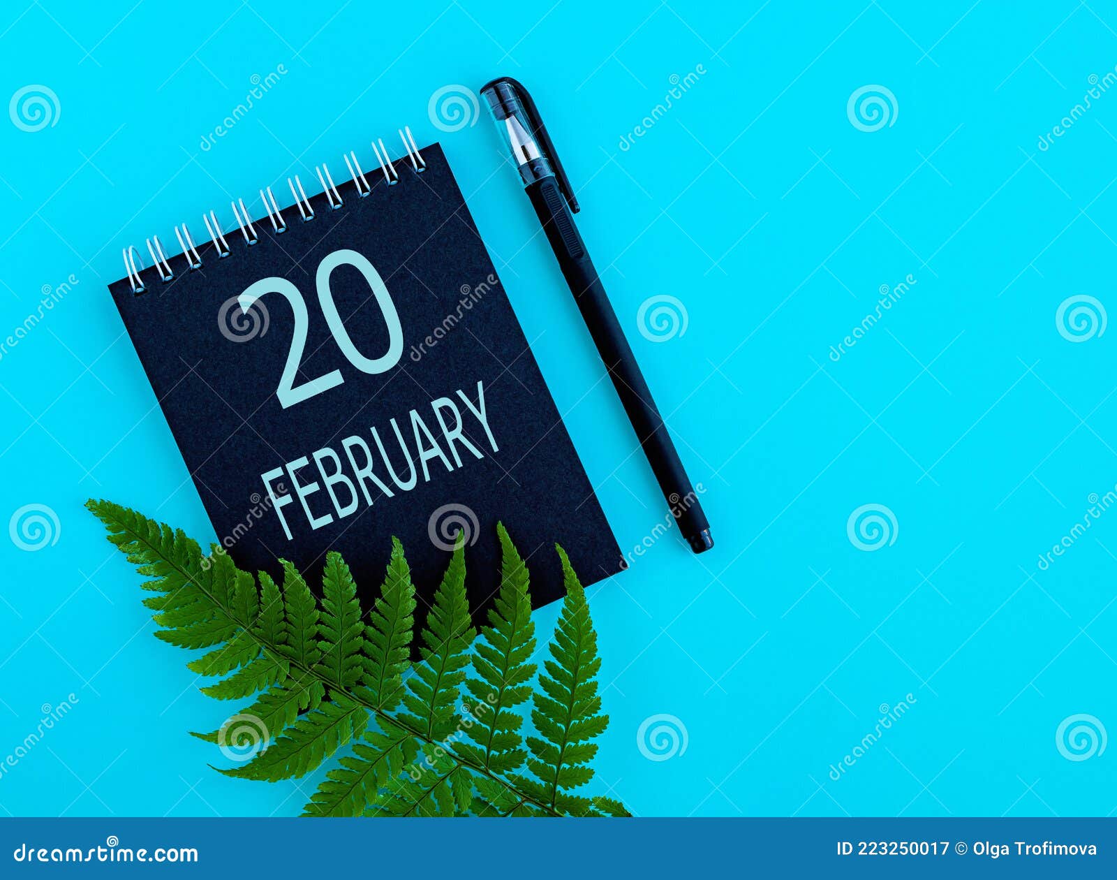 February 20th. Day 20 of Month, Calendar Date Stock Image Image of