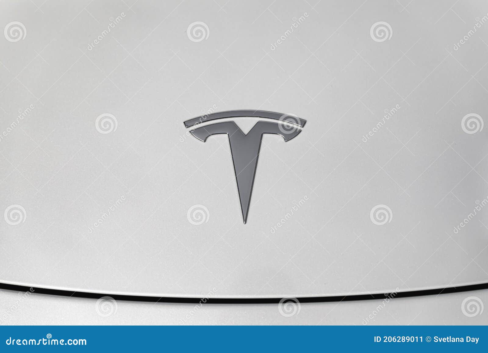 Fechamento Da Capota De Carros Elétricos De Corrida Executivos Tesla Com  Logotipo Tesla Foto de Stock Editorial - Imagem de frente, branco: 221416033