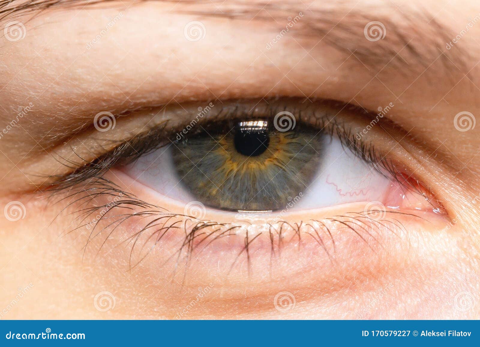 Close-up vista dos olhos de mulher bonita com uma maquiagem