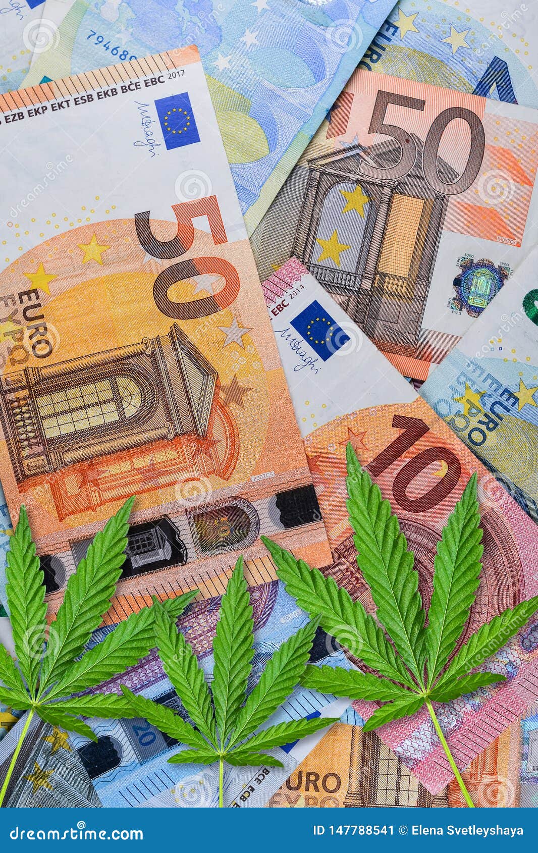 Download Close Up Of Marijuana On Money. Cannabis Or Hemp Leaves On A Euro Money Background. Flat Lay ...