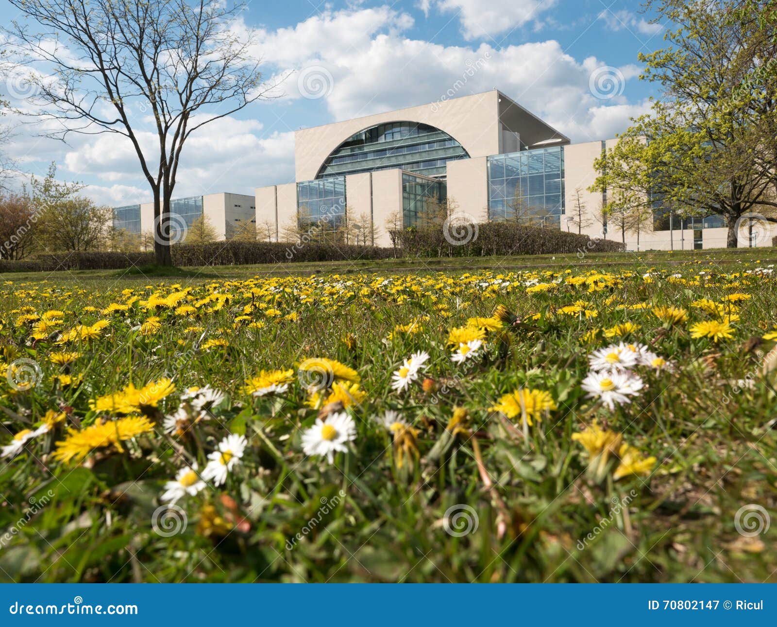 federal chancellery with flower meadow