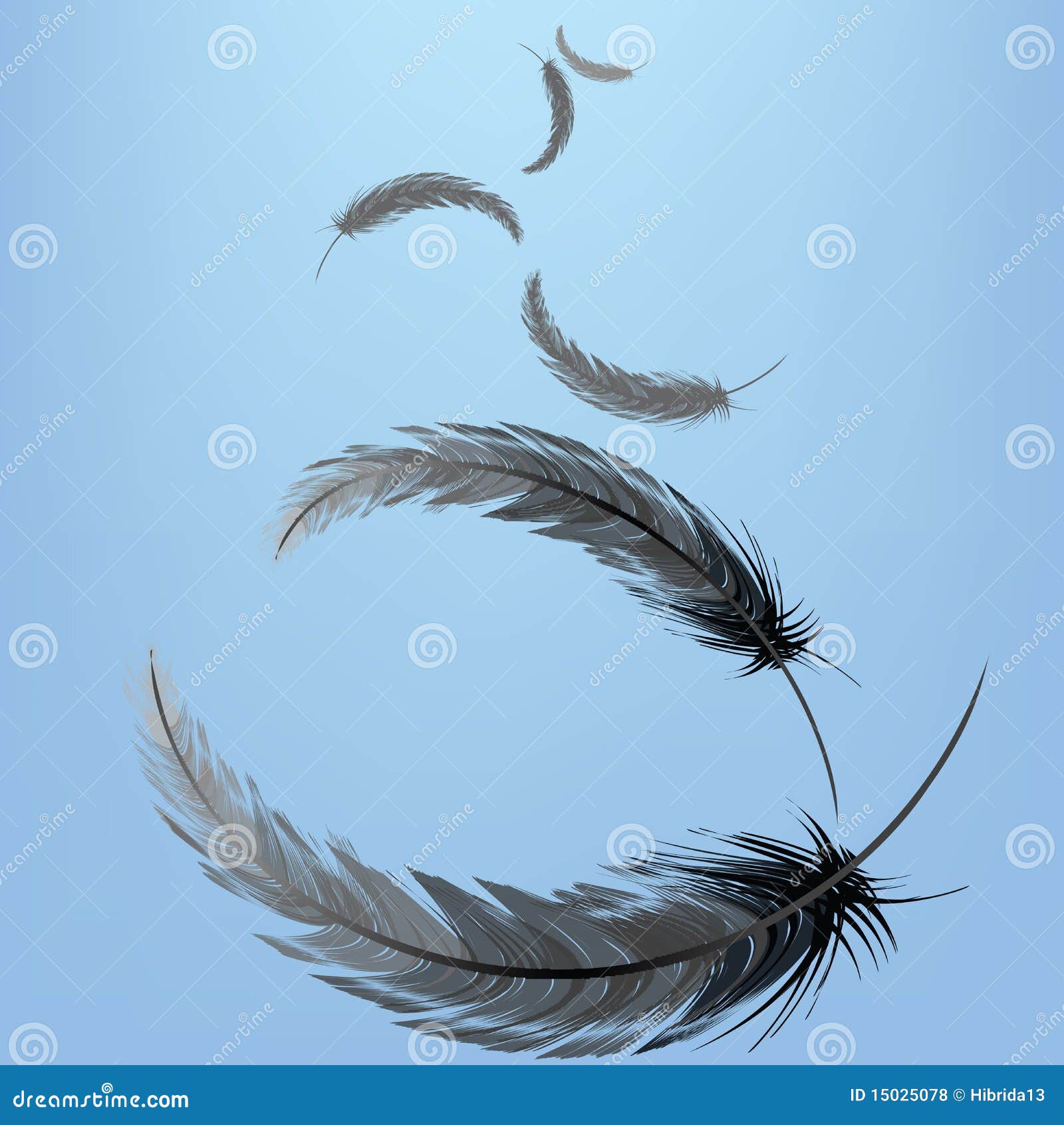 Federn Im Wind Federn Im Wind