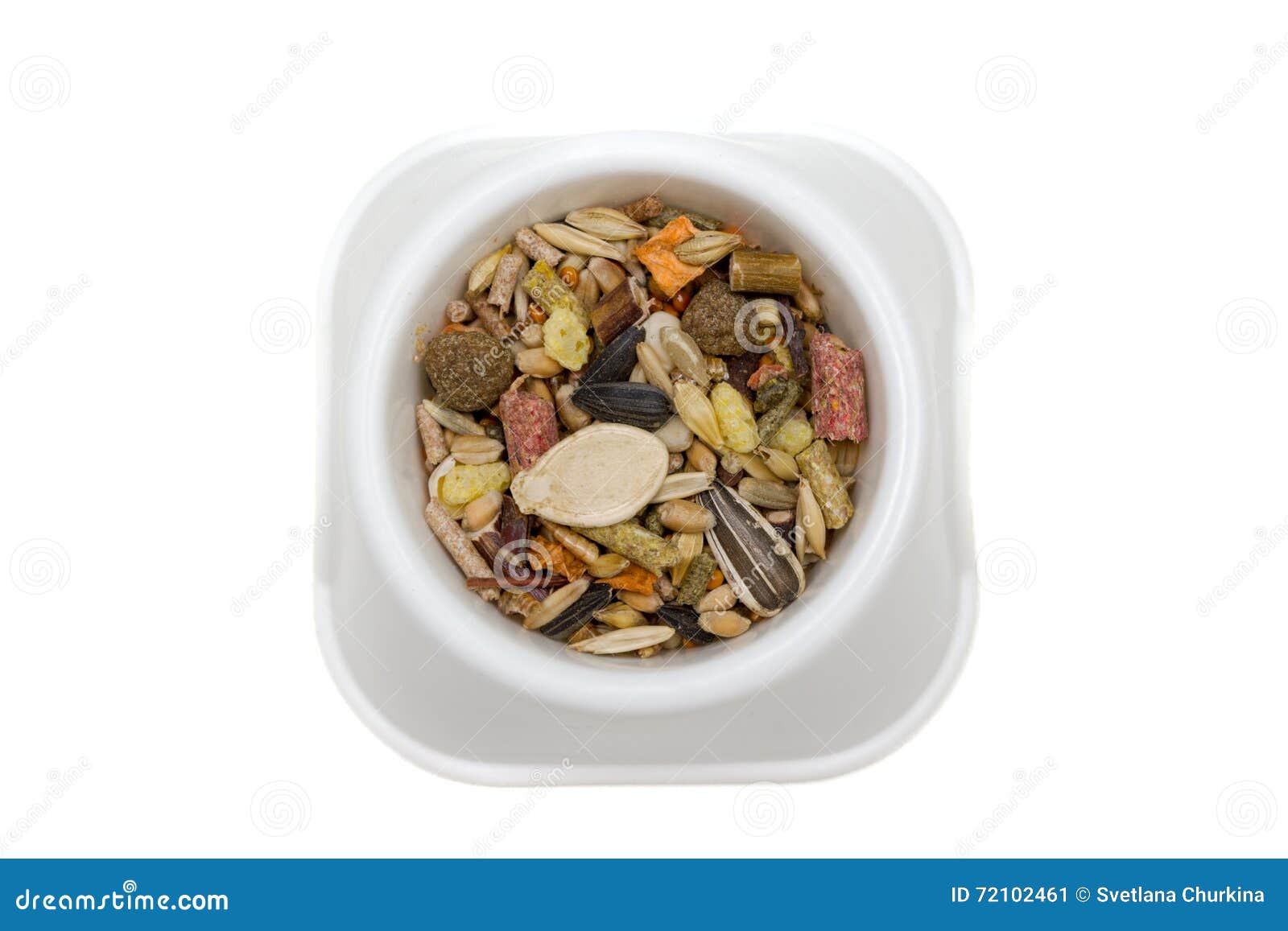 Feeder with rodent`s feed stock image. Image of feed 72102461