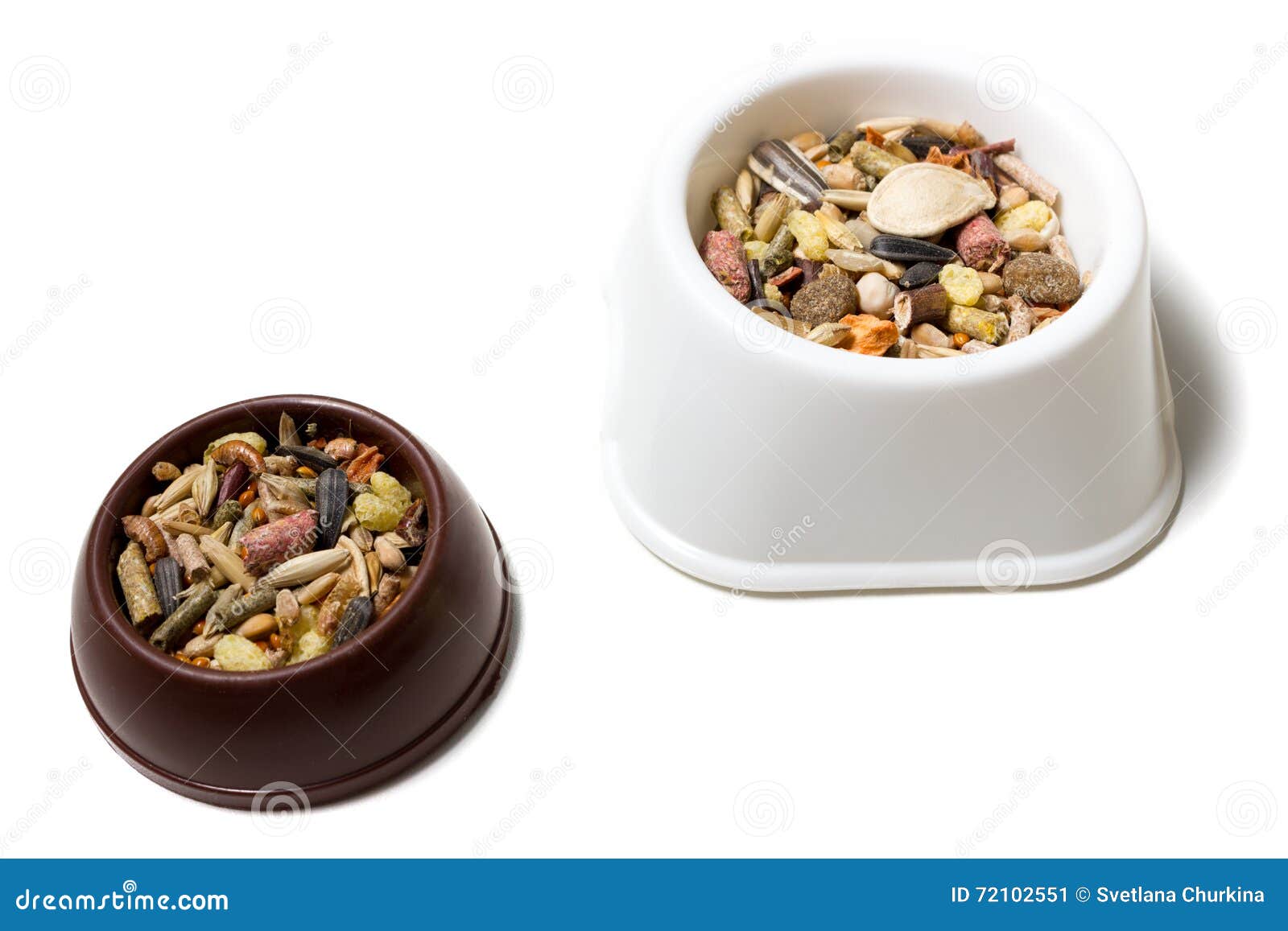 Feeder with rodent`s feed stock image. Image of rodents 72102551