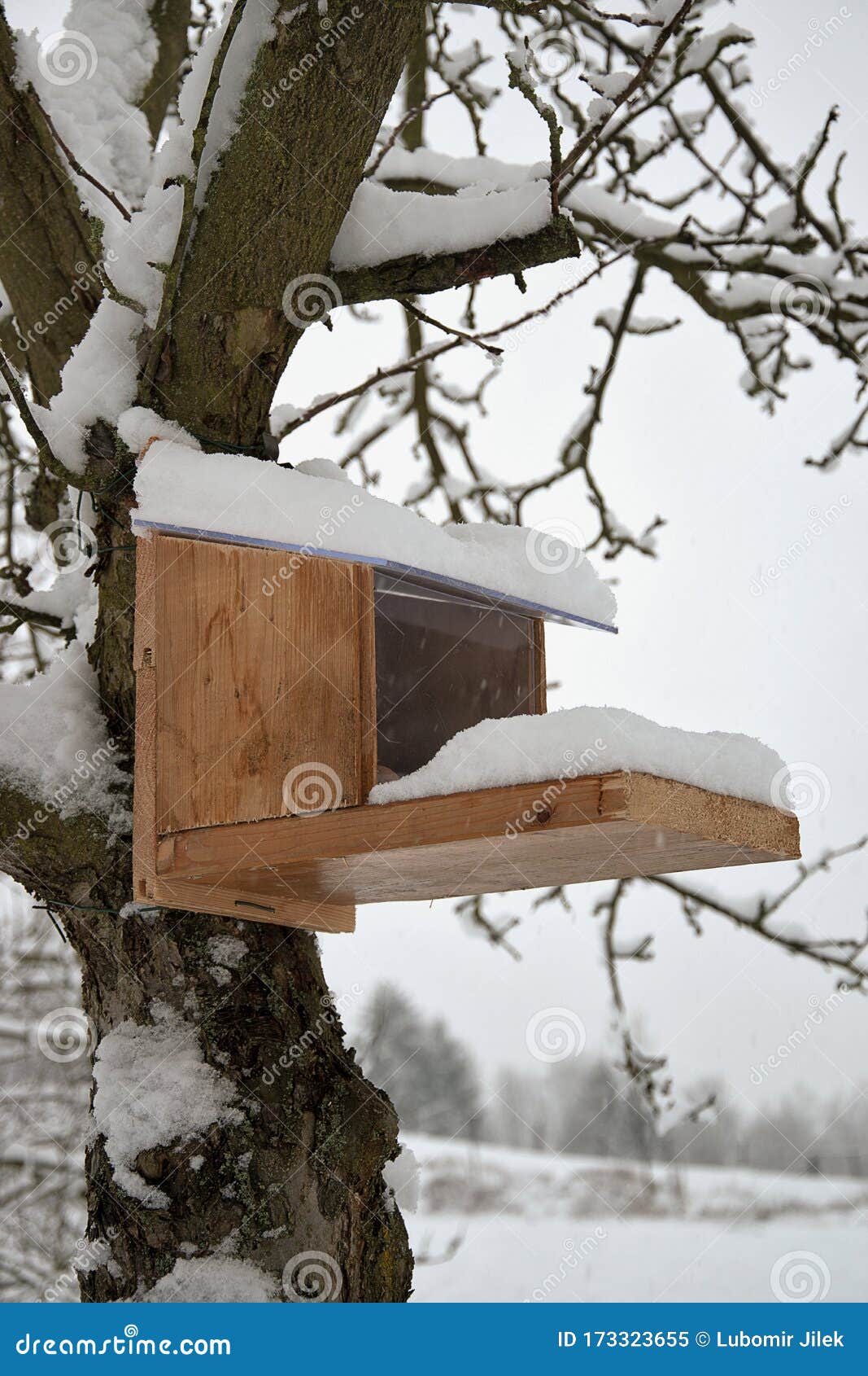 Feeder for Squirrels in Winter Covered with Snow. Home Made Stock Image Image of feeder, help