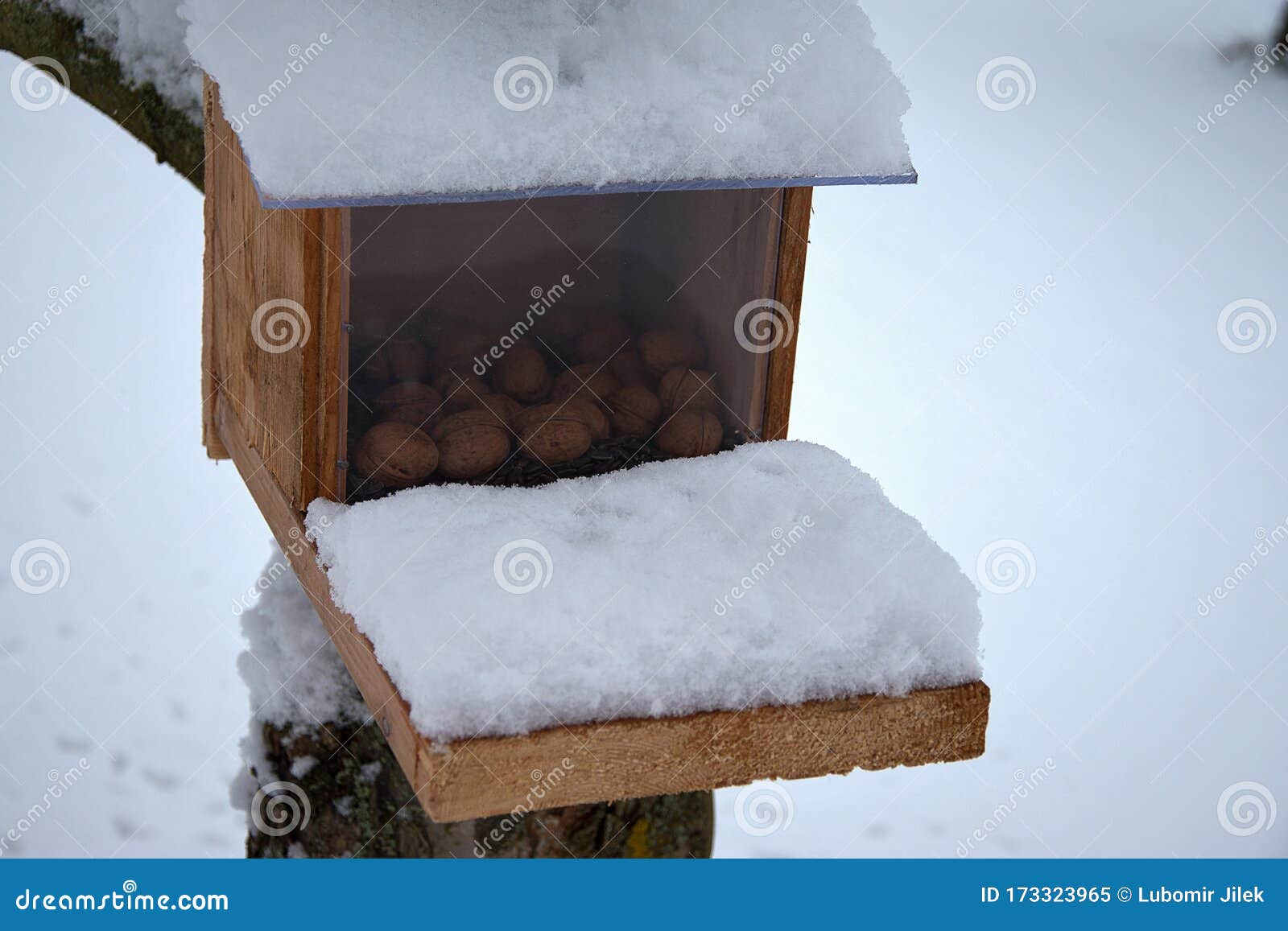 Feeder for Squirrels in Winter Covered with Snow. Home Made Stock Image Image of birds, feed