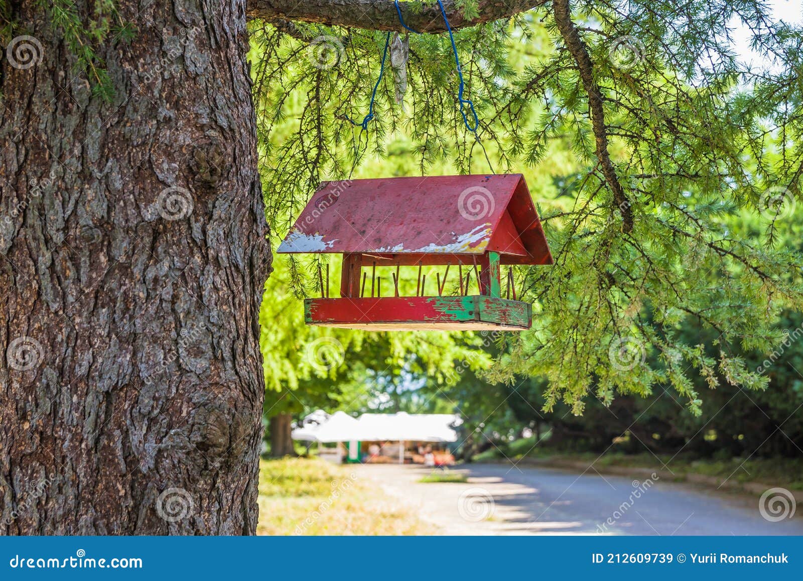 Feeders for Birds in the City Park Stock Image Image of animal