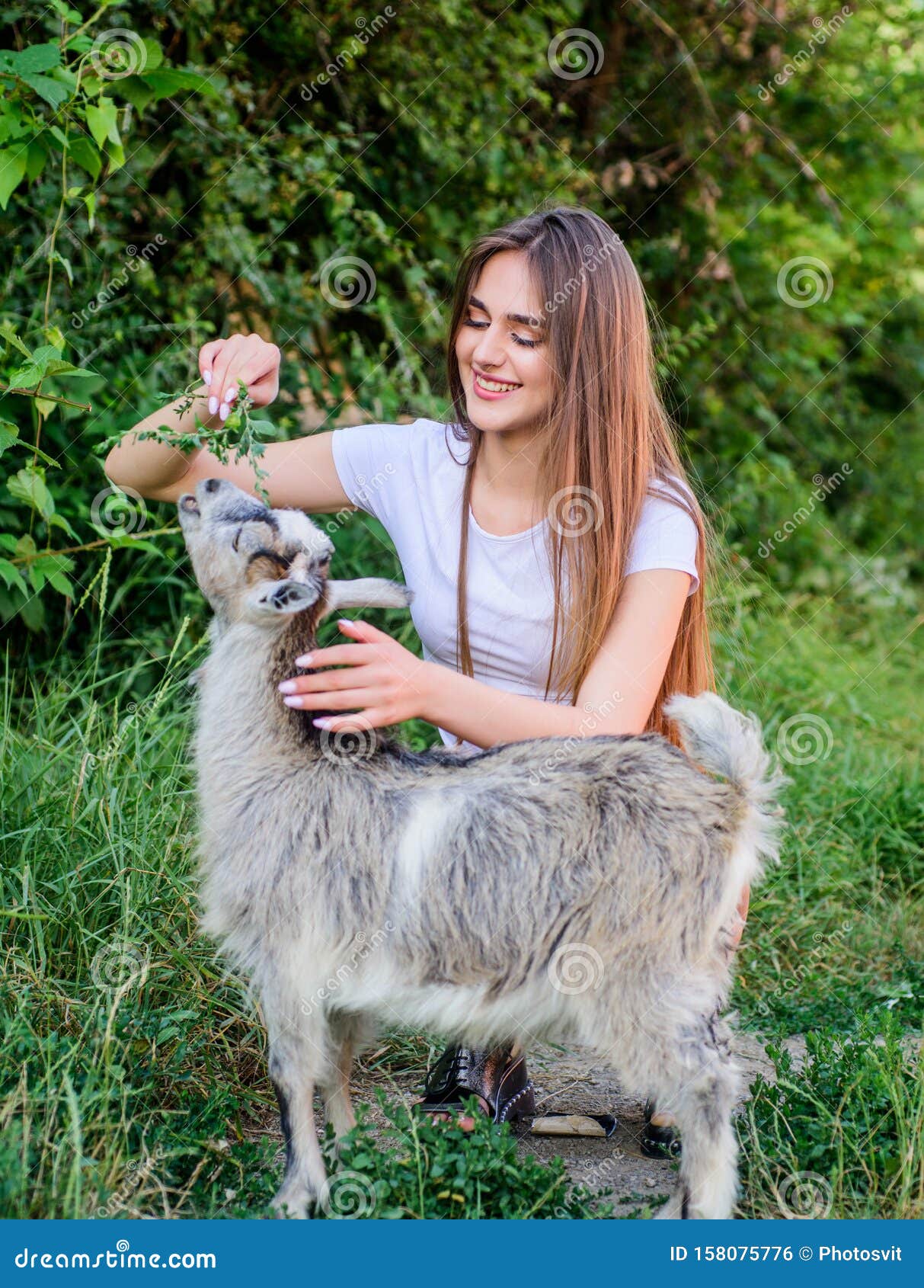 Feeding Animal. Animals Law. Woman and Small Goat Green Grass. Farm and  Farming Concept. Village Animals Stock Photo - Image of nature, health:  158075776