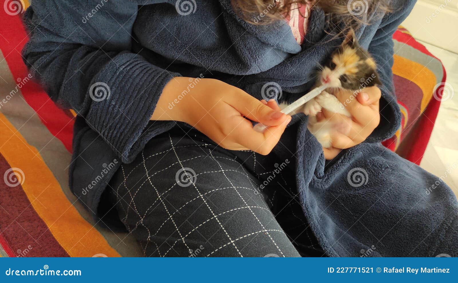 Baby petfeeding cat stock image. Image of feeding, milk 227771521