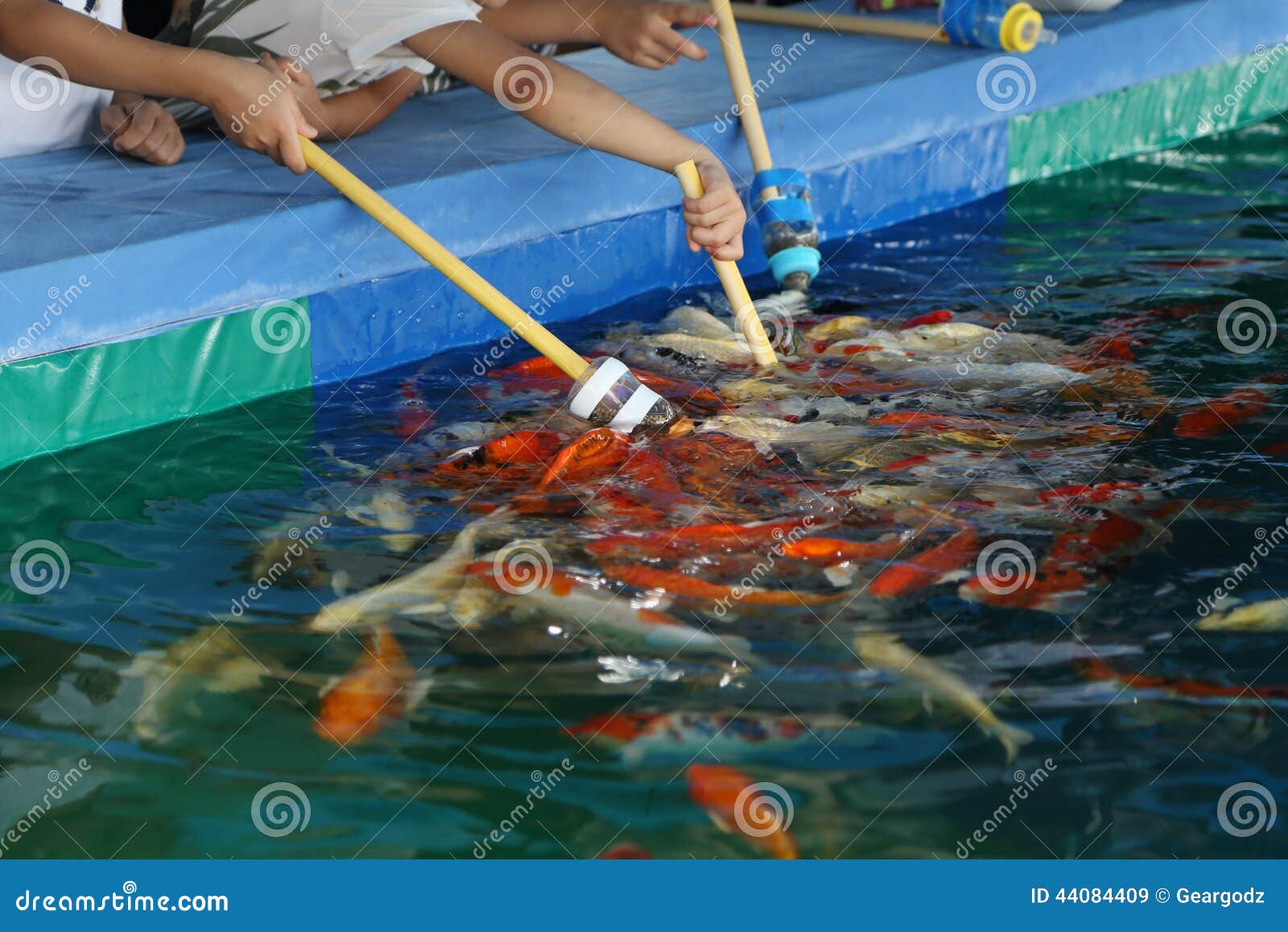 Feeding Koi Fish with Milk Bottle Stock Image Image of bottle, milk