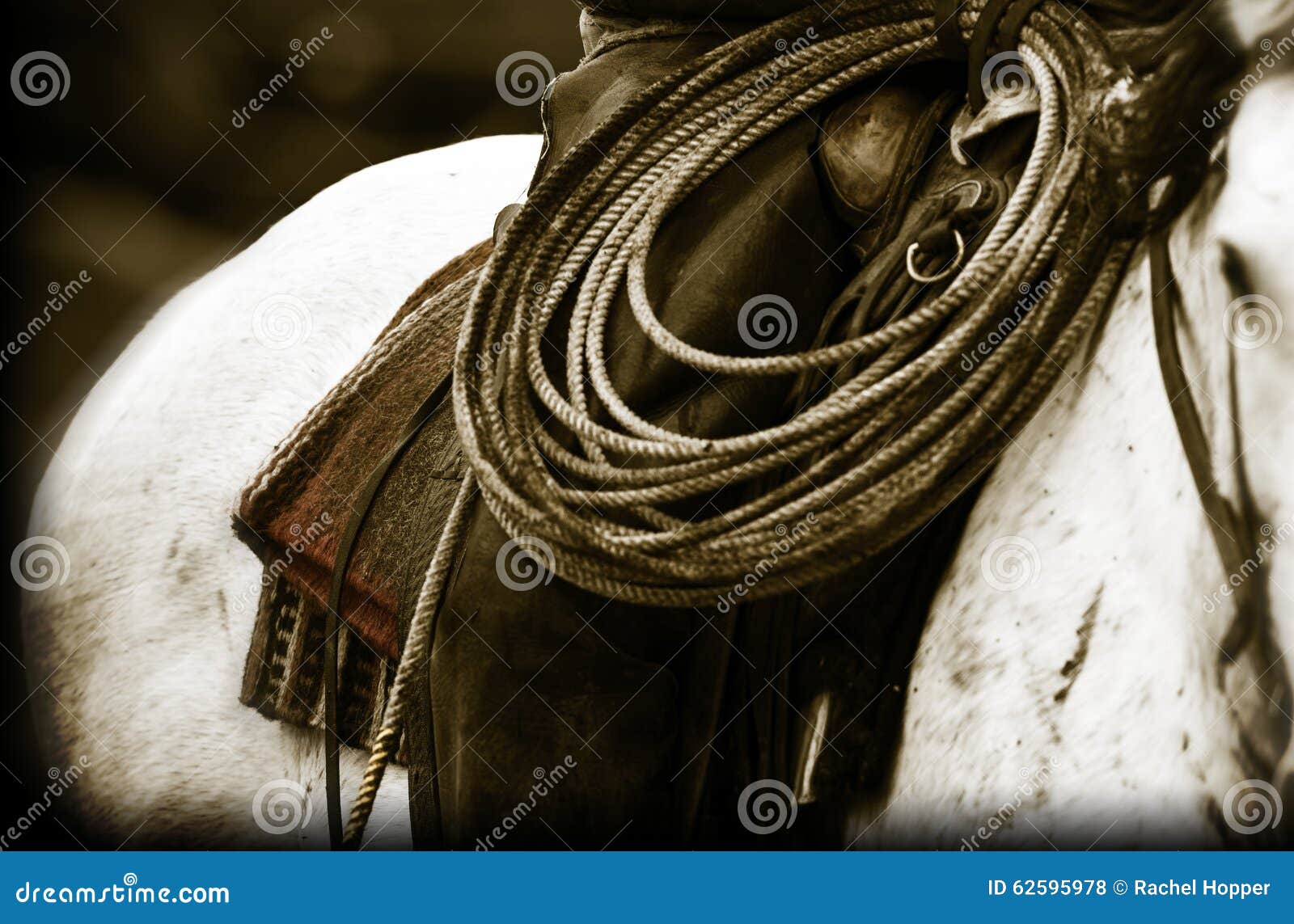 feedlot cowboys saddle and rope