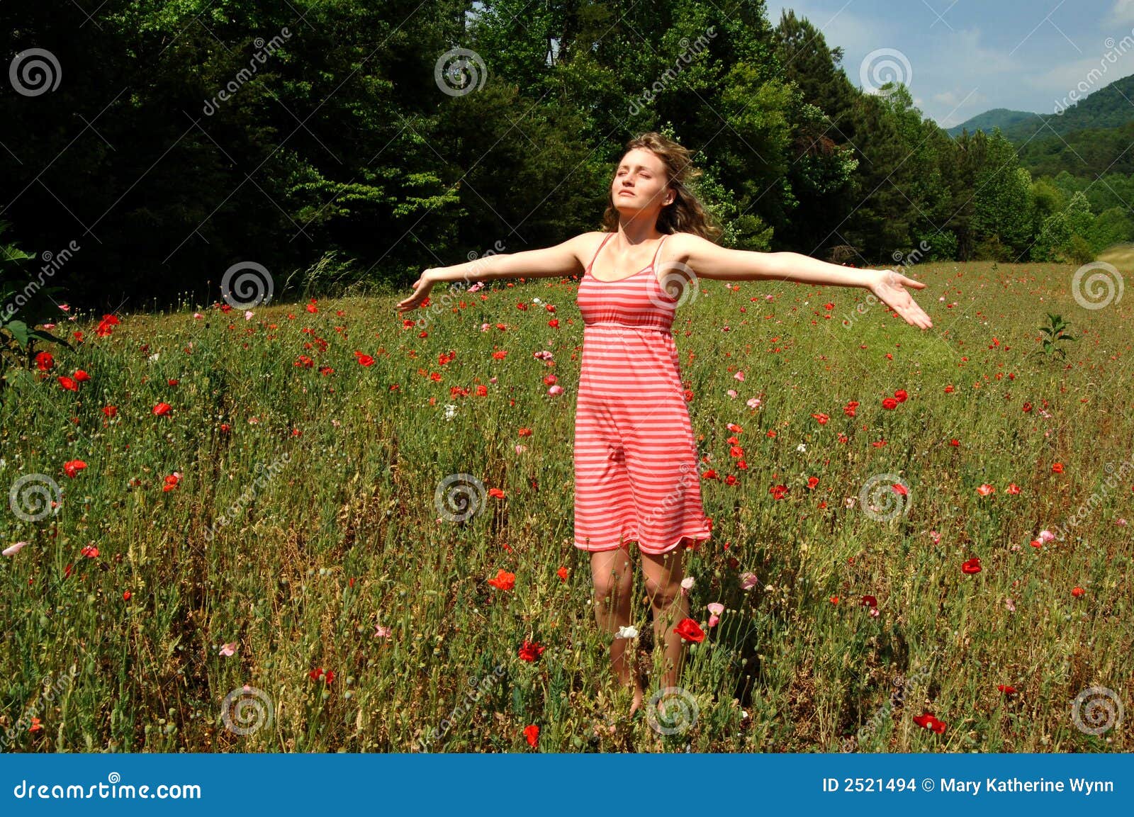 Feel summer sun and breeze stock photo. Image of beautiful - 2521494