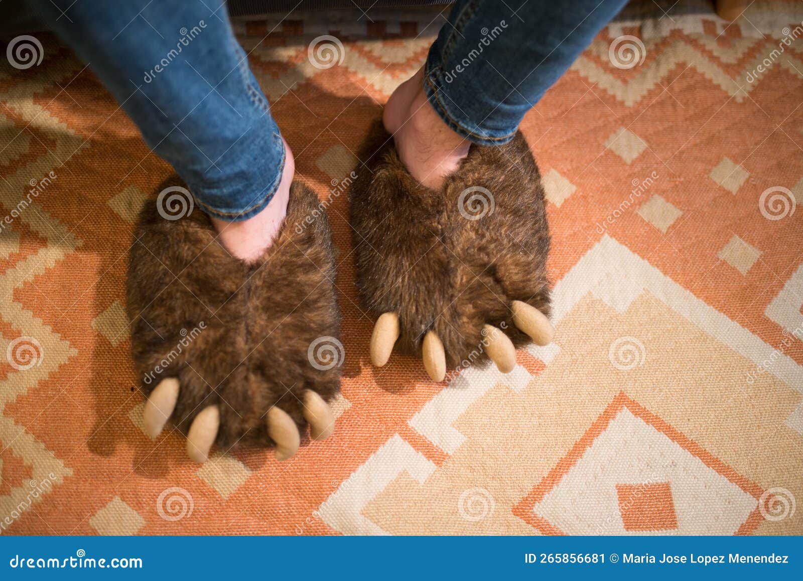 Feet with Bear Claws Slippers. Seen from Above Stock Image Image of