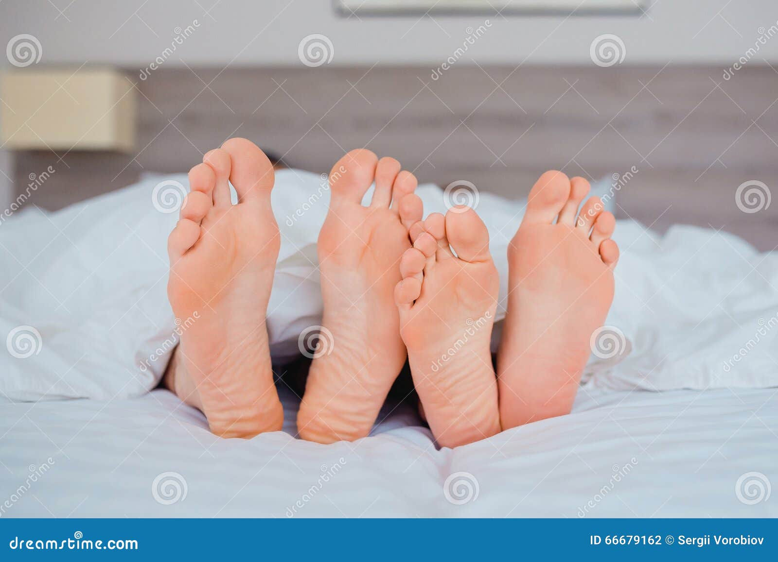 Feet of Couple Lying in Bed Under the Blanket Stock Photo Image of
