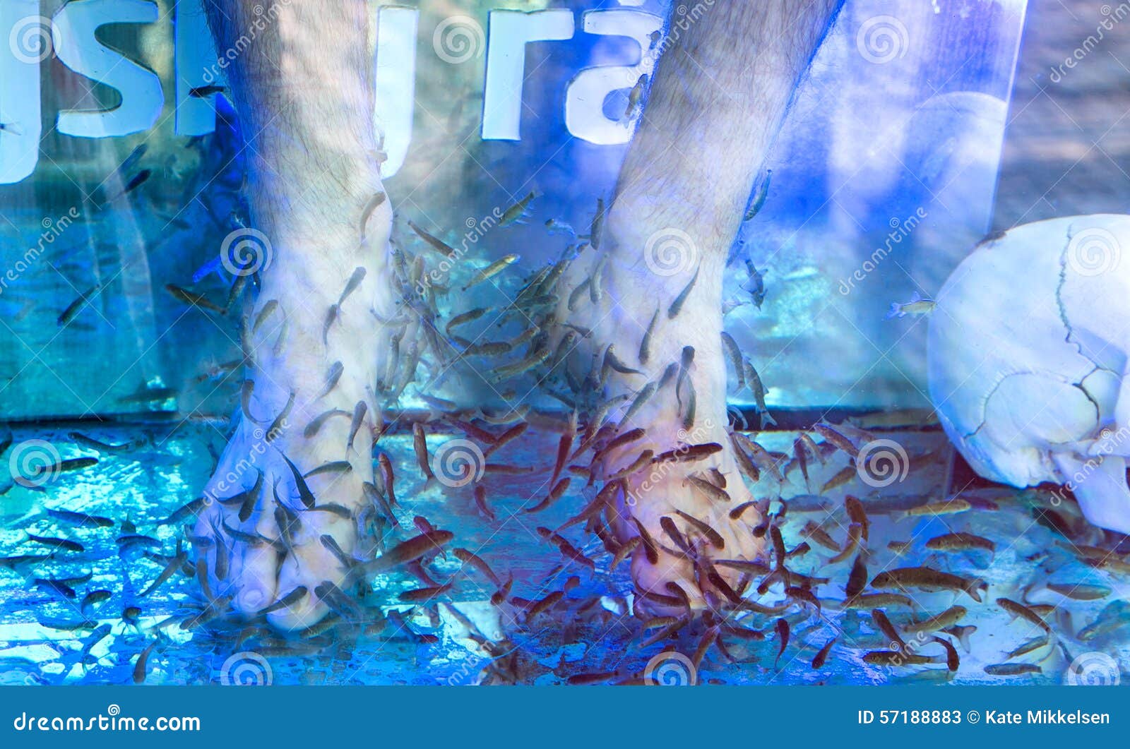 Feet in fish spa stock image. Image of water, healt, eating 57188883
