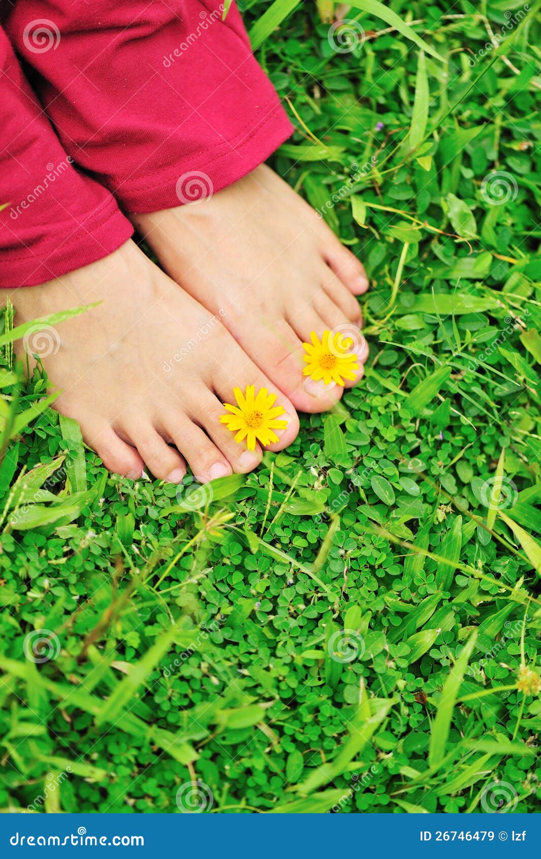 Feet with flowers stock image. Image of relax, relaxtion 26746479