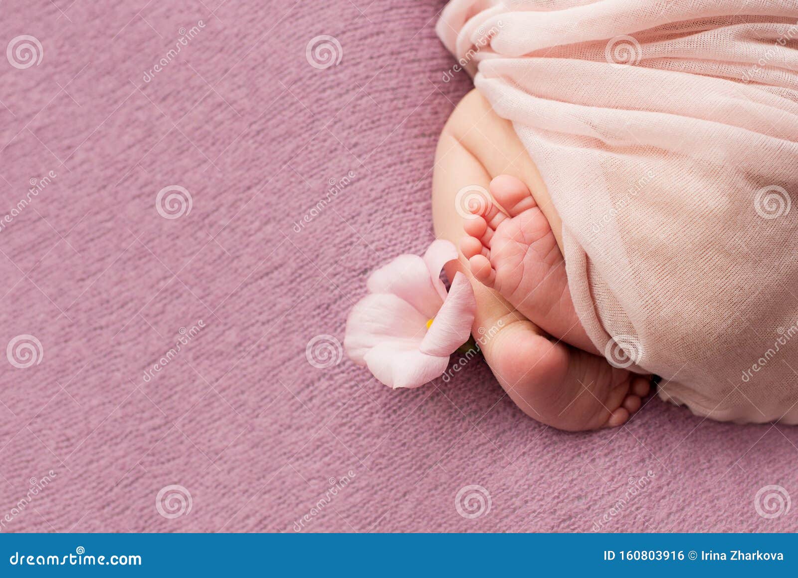 Feet Of The Newborn Baby With Flower Fingers On The Foot Materna