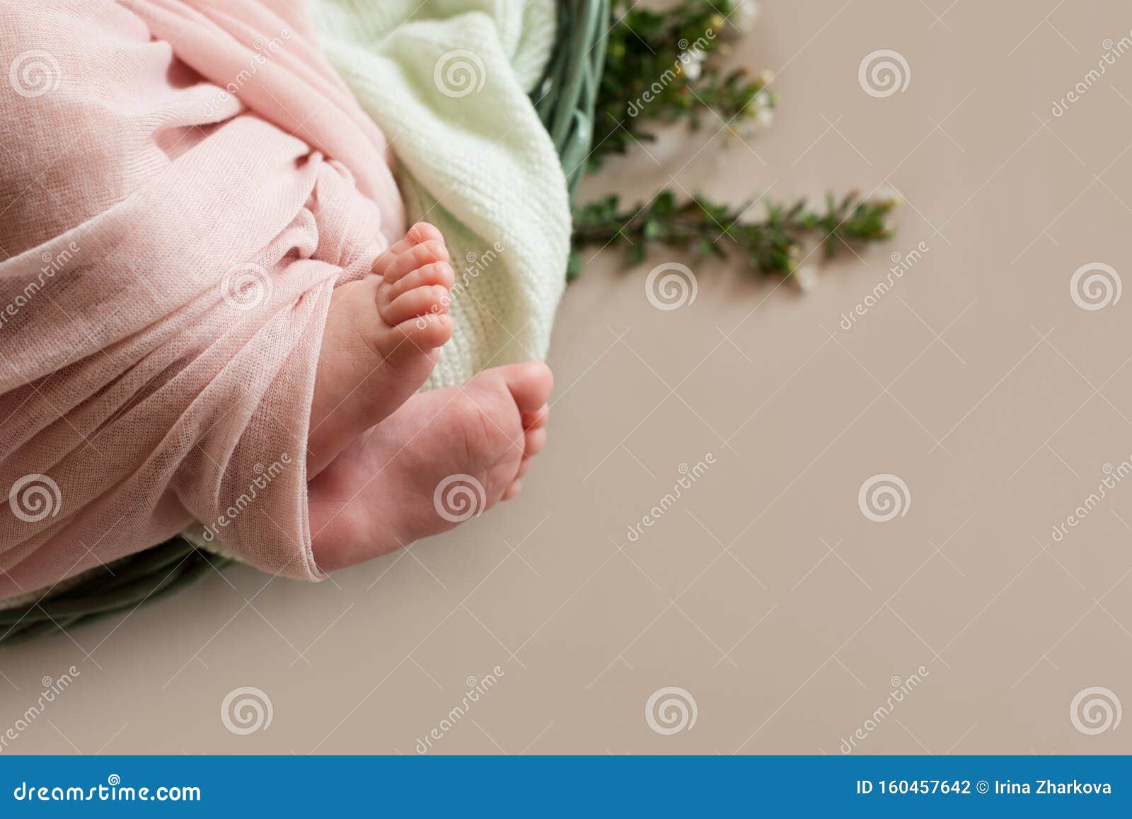Feet Of The Newborn Baby With Flower Fingers On The Foot Maternal