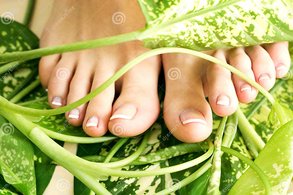 Feet with pedicure stock image. Image of relaxation, woman 2445591