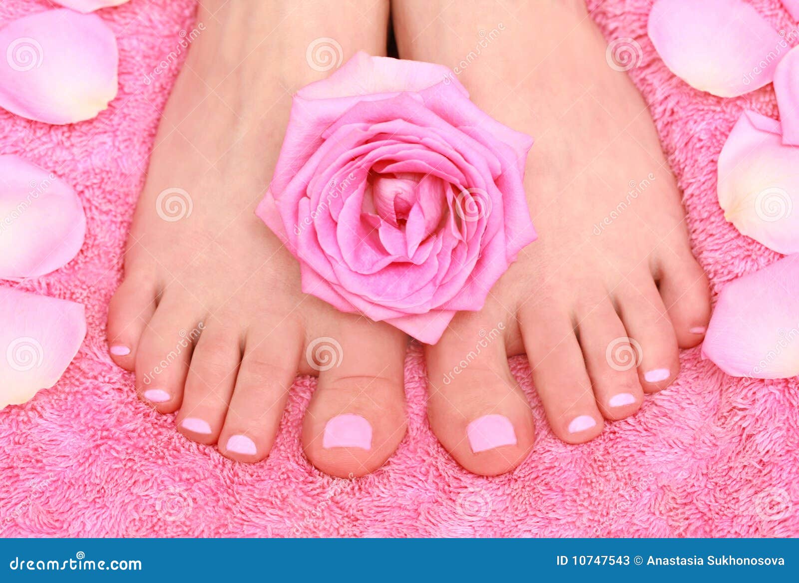 Feet and petals stock image. Image of foot, manicure 10747543