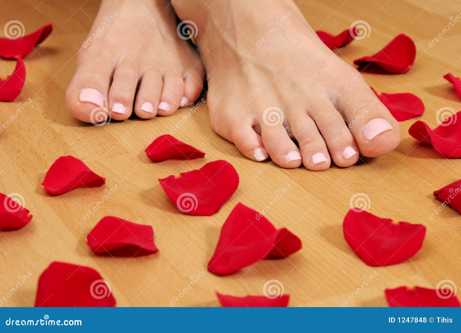 Feet and petals stock photo. Image of female, health, freshness 1247848