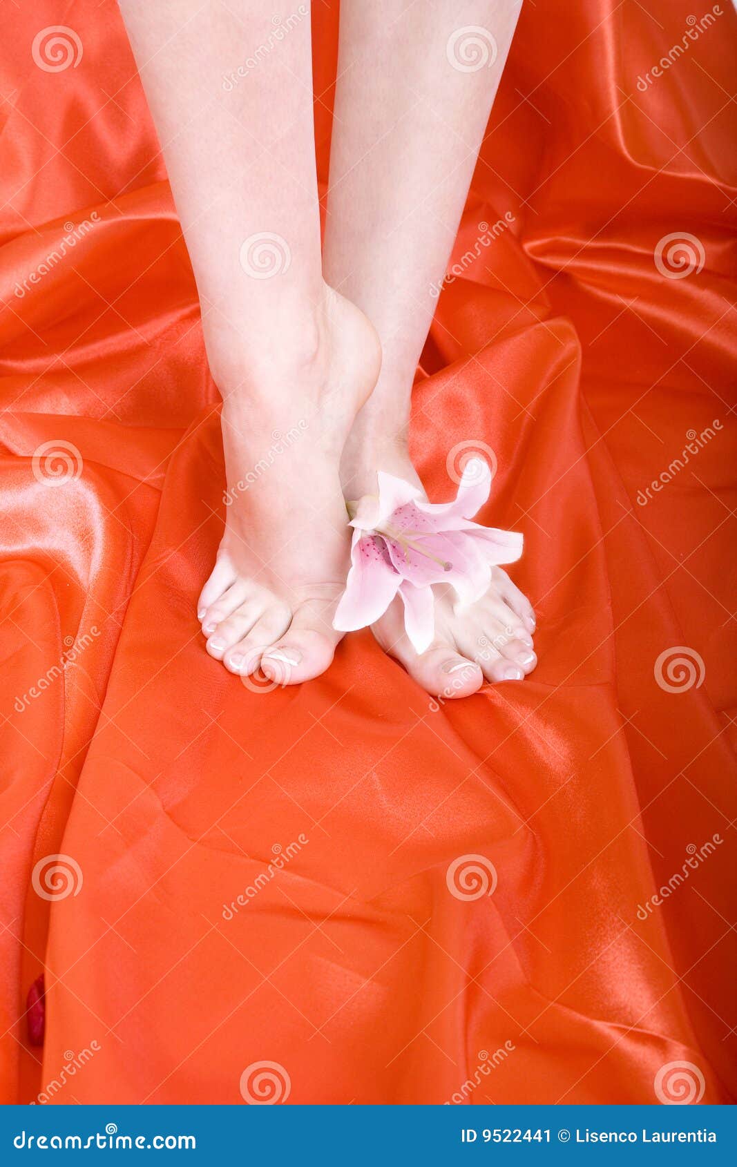 Feet With Petals Picture. Image 9522441