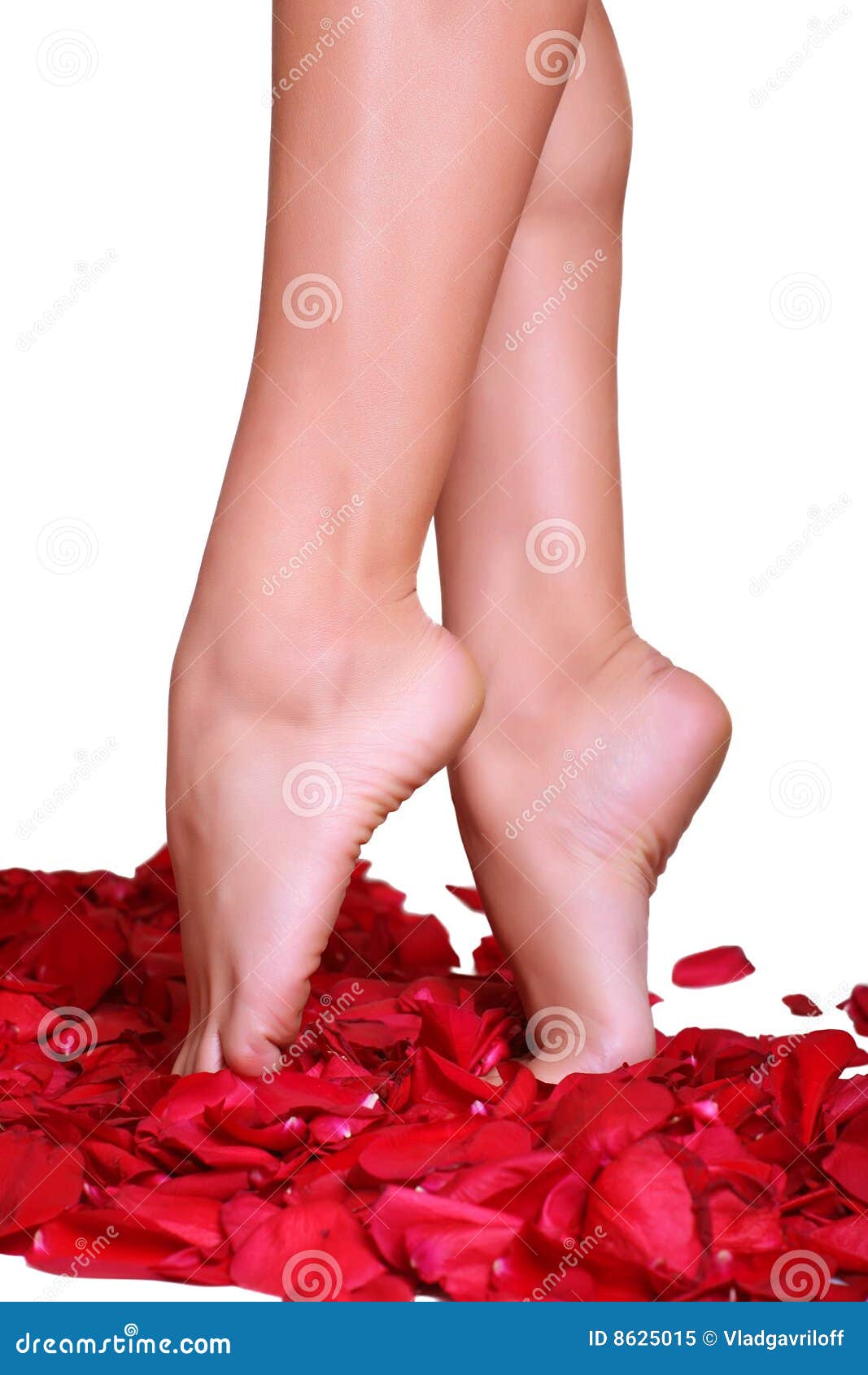 Feet And Rosepetals Picture. Image 8625015