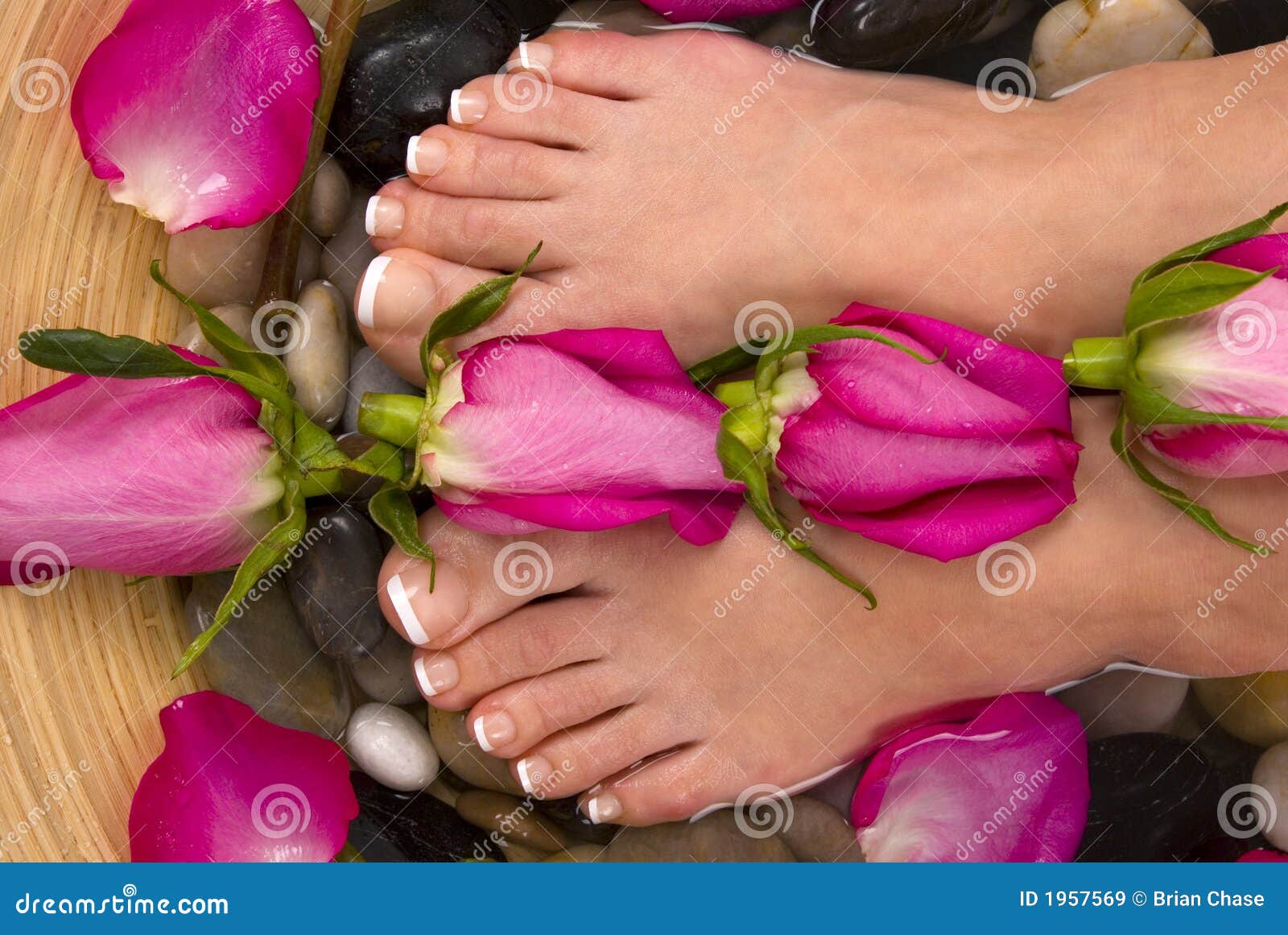 Feet and Roses stock image. Image of floral, french, mineral 1957569